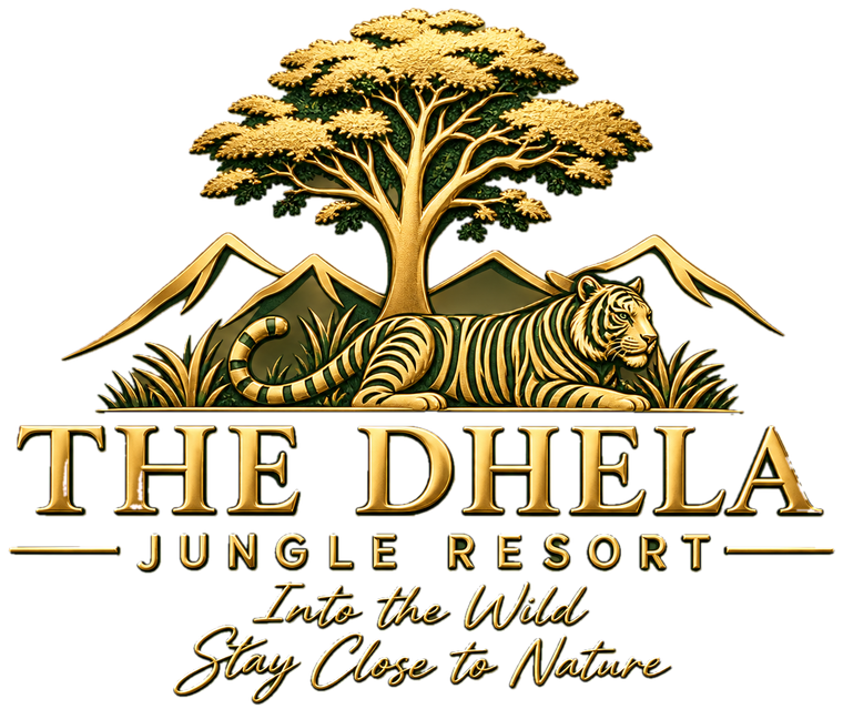 The Dhela Jungle Resort – Into the Wild, Stay Close to Nature